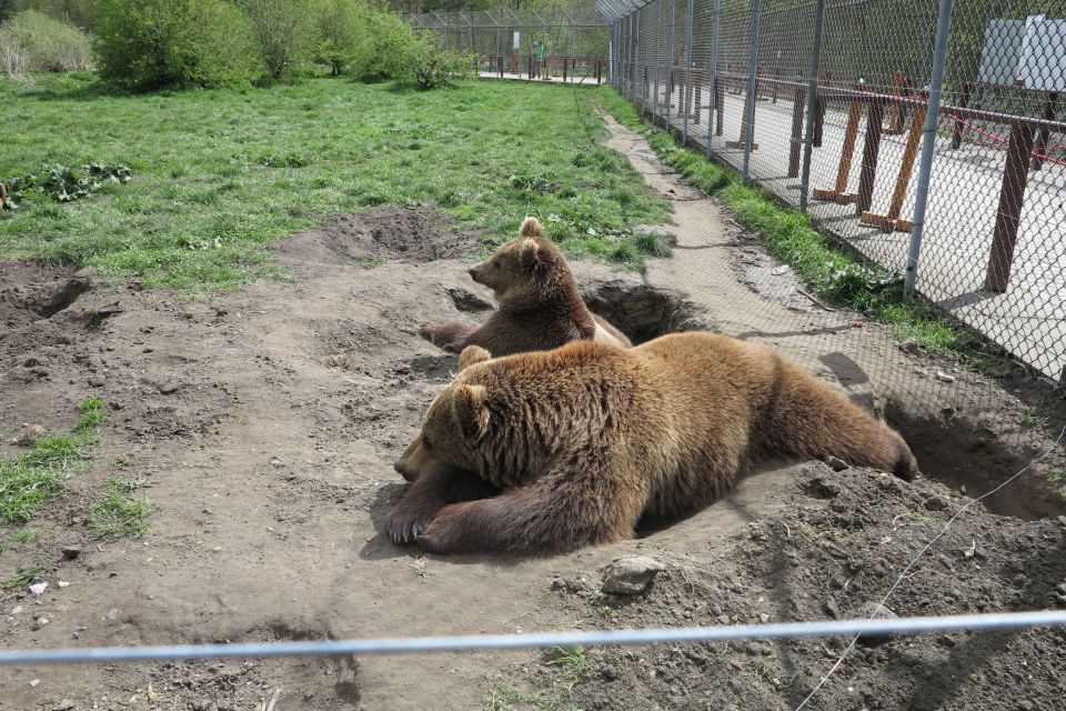 Budapest: Transport & Guided Tour of Bear and Wolf Sanctuary - Good To Know