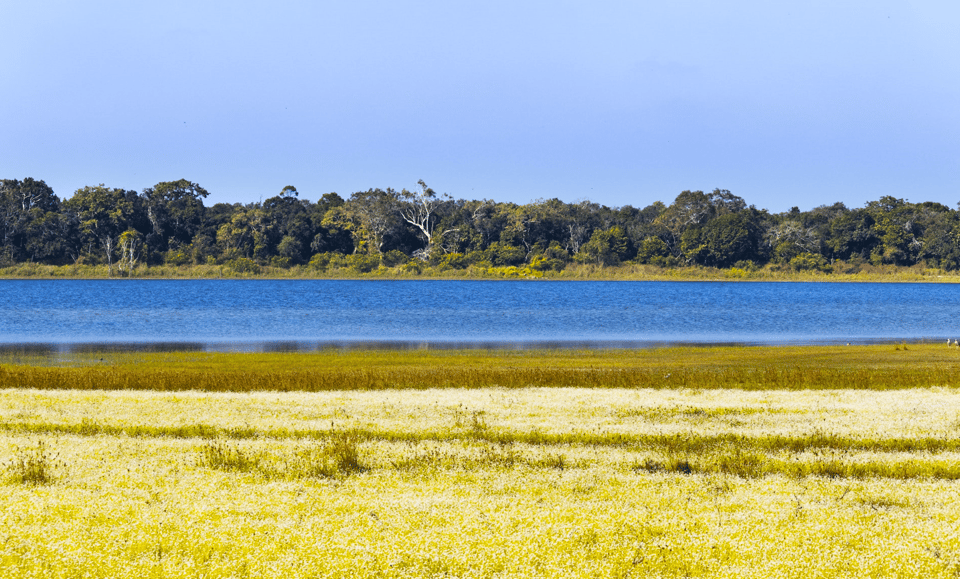 Budget Safari to Wilpaththu National Park From Anuradhapura - Good To Know