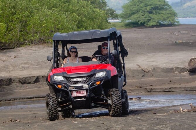 Buggy - Side by Side Family Tour - Good To Know