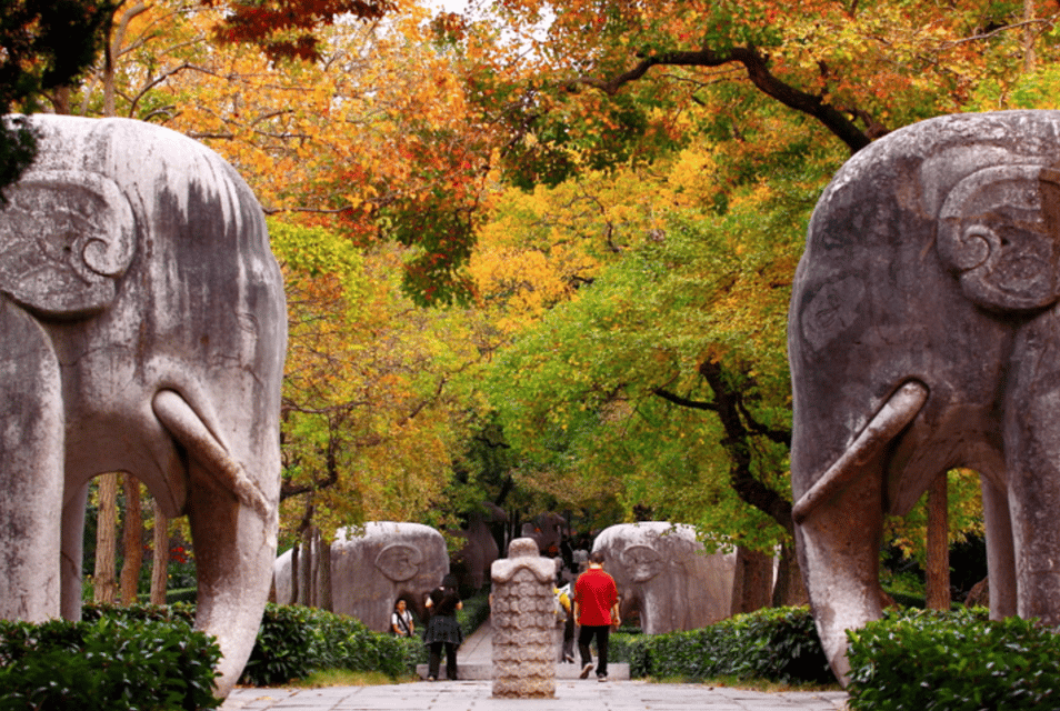 By Round Way Bullet Train From Shanghai to Nanjing City Tour - Booking Information