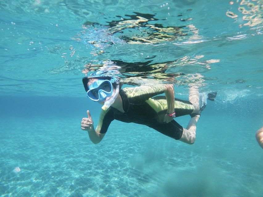 Cabo De Gata Natural Park: Guided Snorkeling Tour - Tour Overview and Pricing