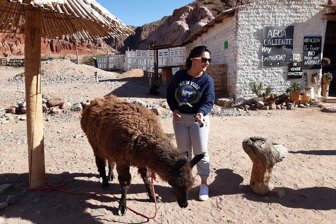 Cafayate, Vineyards and Calchaquies Valleys Tour From Salta - Itinerary Highlights