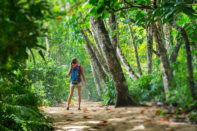 Cahuita National Park Walk and Banana Plantation. Shore Excursion From ...