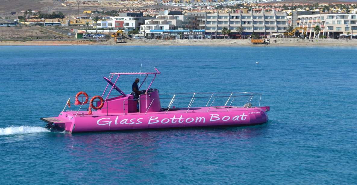 Caleta De Fuste: Glass-Bottom Boat Tour - Good To Know