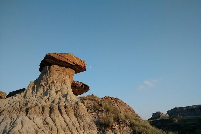 Calgary to Royal Tyrrell Museum | Drumheller – PRIVATE TOUR - Good To Know