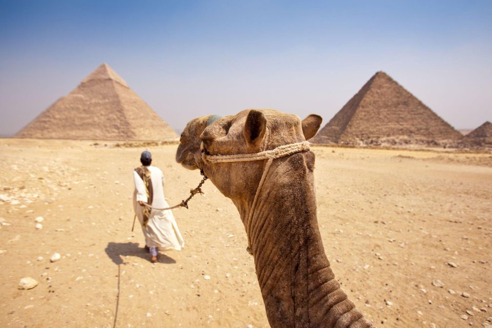 Camel or Horse Ride Tour at Giza Pyramids - Good To Know