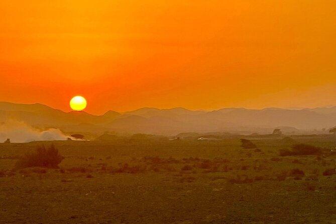 Camel Ride, Bedouin Dinner and Star Gazing in Marsa Alam - Overview of the Experience