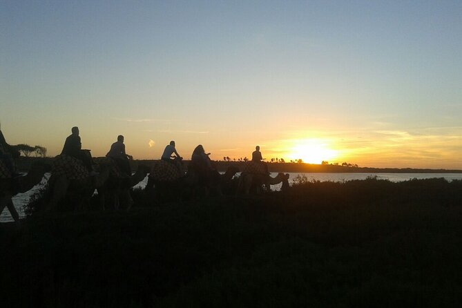 Camel Ride + Sunset + BBQ Dinner in Agadir - Good To Know