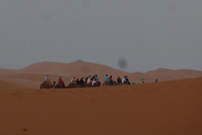 Camel Ride - Overview of Camel Rides