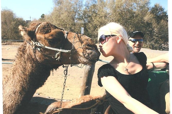 Camel Safari Through the Dunes of Maspalomas - Good To Know