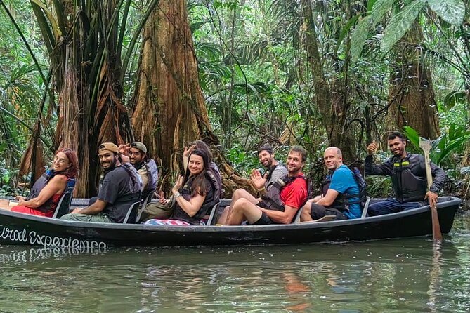 Canoe Tour in Tortuguero National Park Small Group - Good To Know