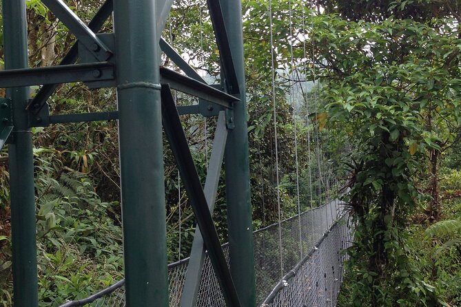 Canopy Tour in the Fabulous Hanging Bridges From San José - About Your Stay