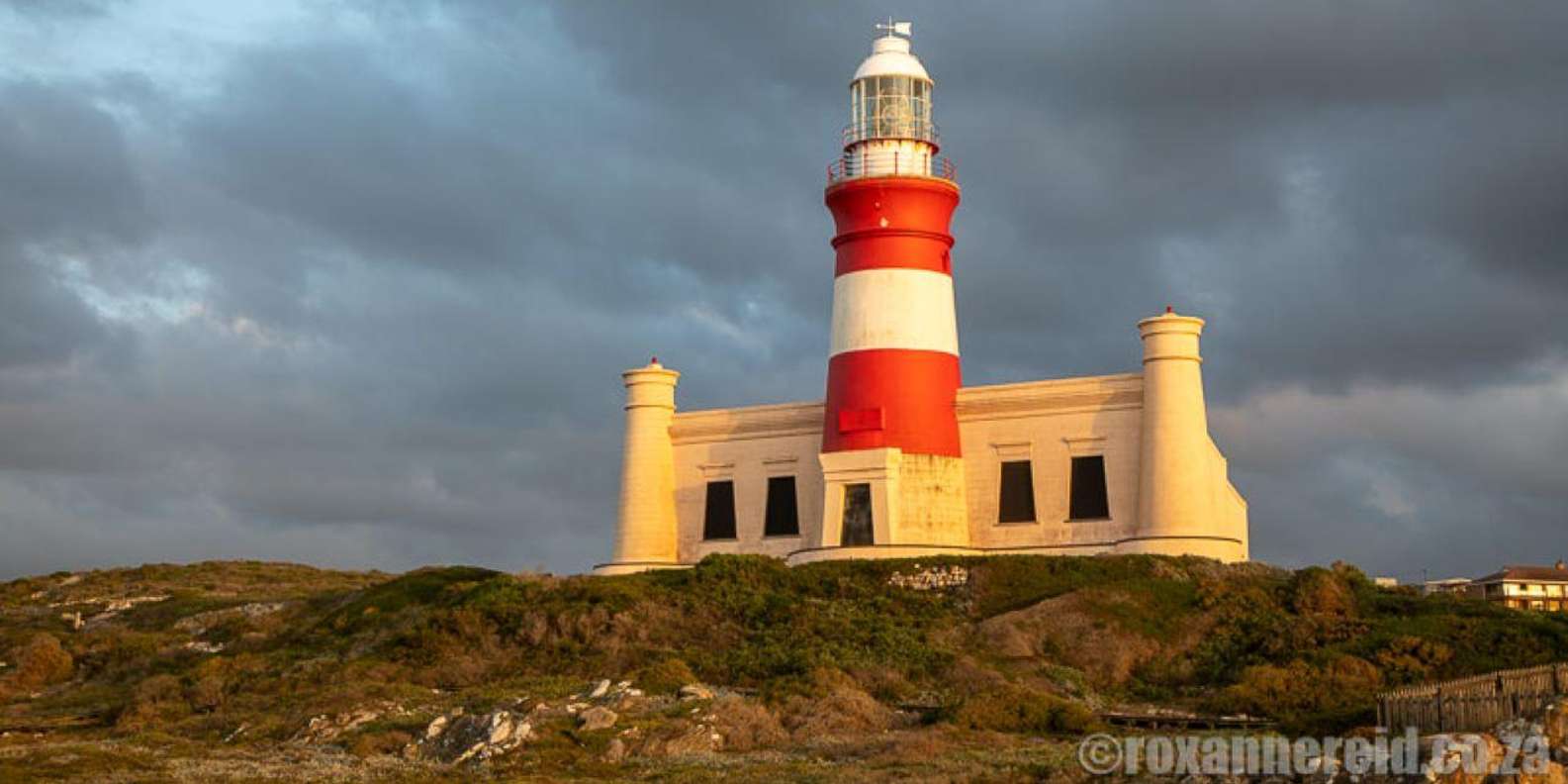 Cape Agulhas Tour: Private Day Trip! - Good To Know