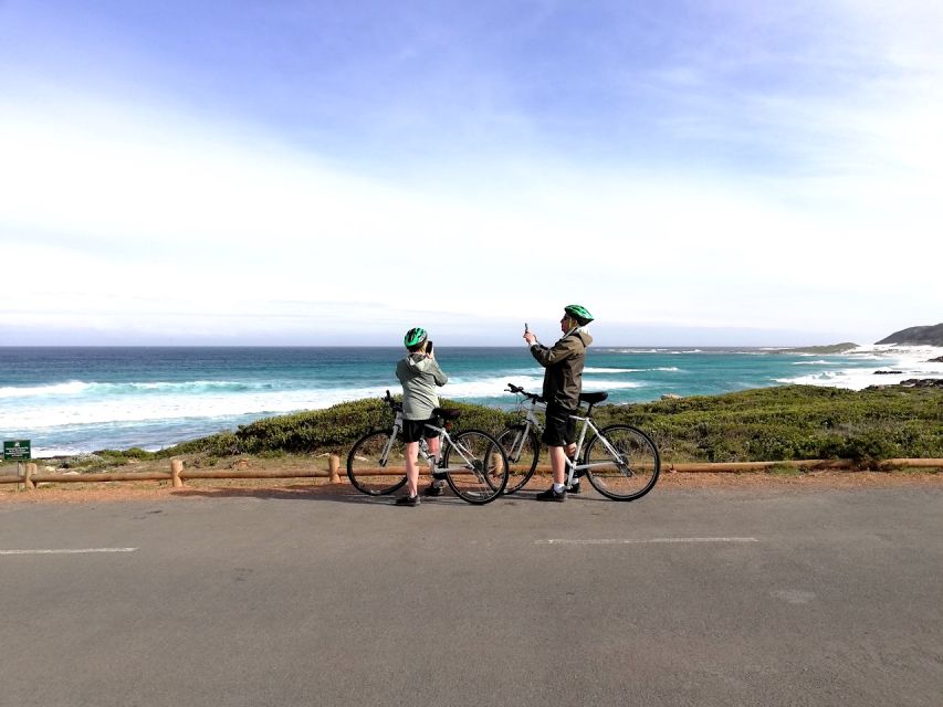 Cape Peninsula: Cycle & Drive Private Full Day Tour - Good To Know