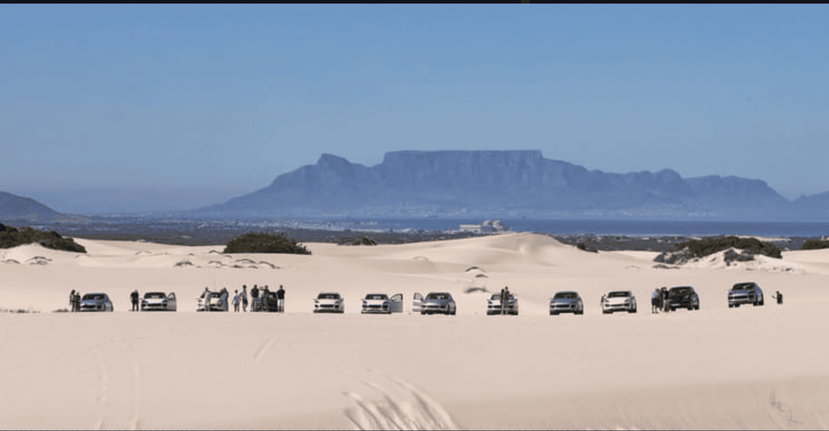 Cape Town: Atlantis Dunes Quad Biking Return Tour - Good To Know