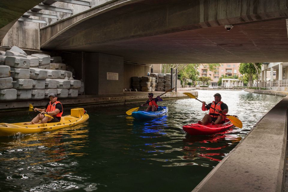 Cape Town: Day or Night Guided Kayak Tour in Battery Park - Good To Know