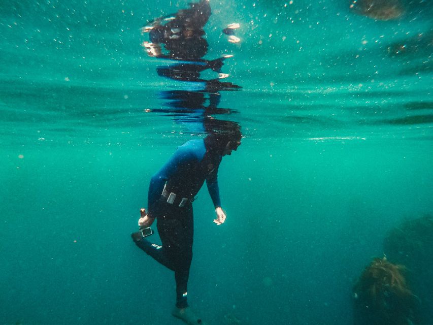 Cape Town: Great African Sea Forest Guided Snorkel - Good To Know