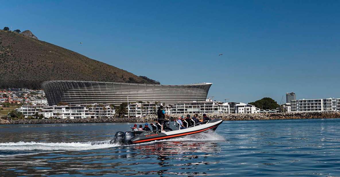 Cape Town: Guided Marine Wildlife Cruise and Cape Point Tour - Good To Know