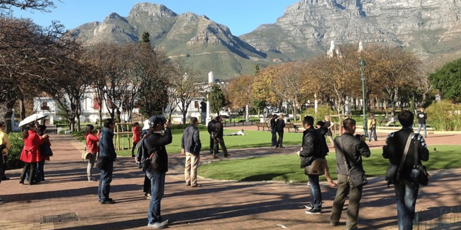 Cape Town: Half-Day City Tour With Optional Table Mountain - Good To Know