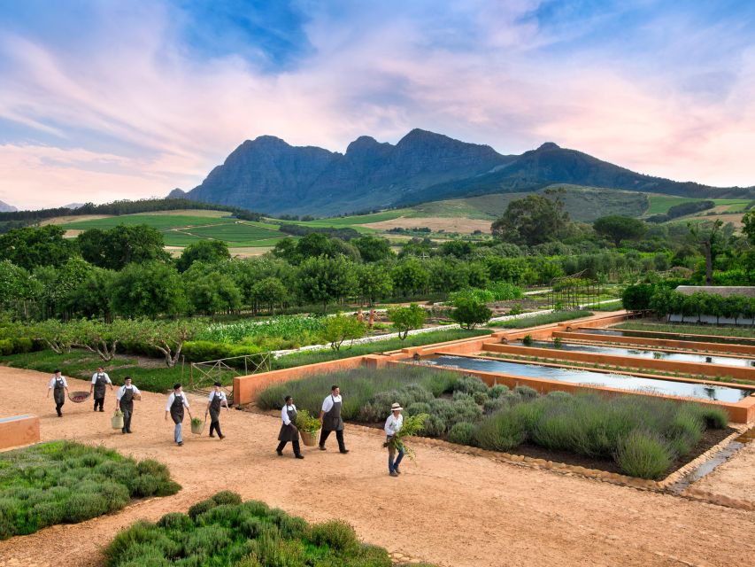 Cape Town: Half-Day Wineries and Tastings Small Group Tour - Good To Know