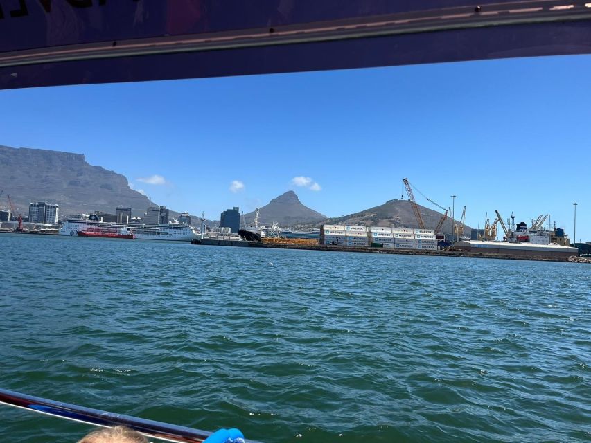 Cape Town: Harbor Cruise - Good To Know