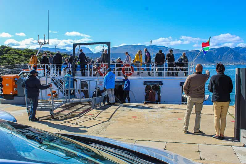 Cape Town: Hermanus Boat Cruise Whale Watching Tour - Good To Know