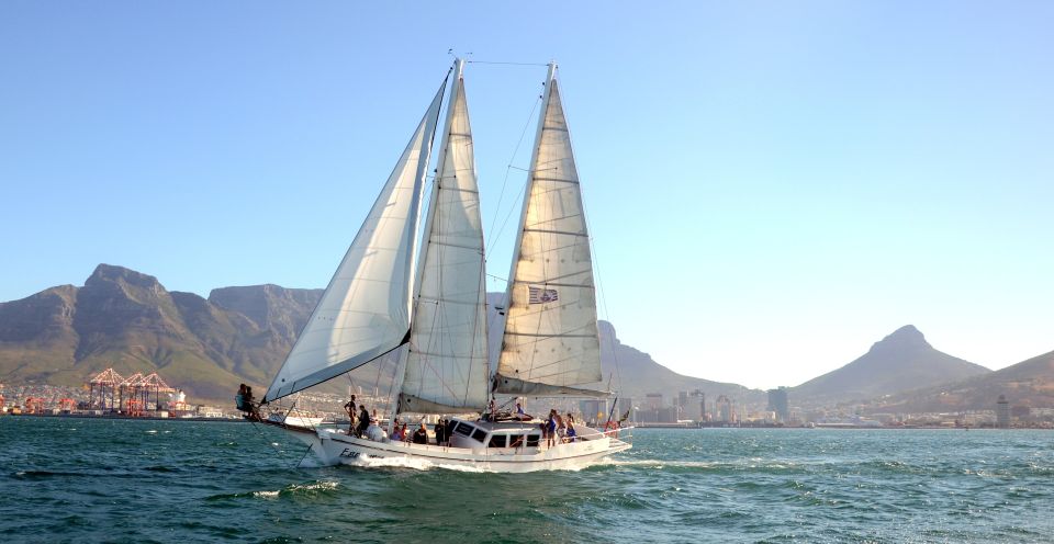 Cape Town: Pre-Sunset Champagne Cruise - Good To Know