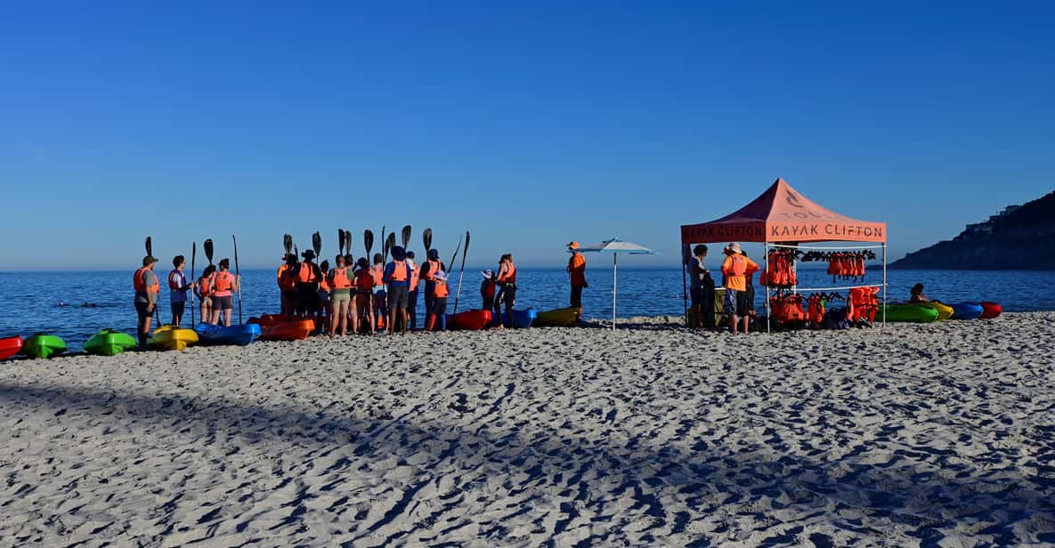 Cape Town: Private Guided Kayak Tour - Good To Know