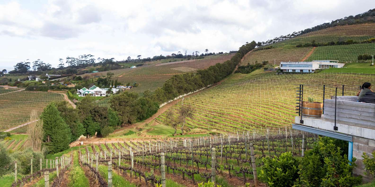 Cape Town: Private Half Day Winelands Tour - Good To Know