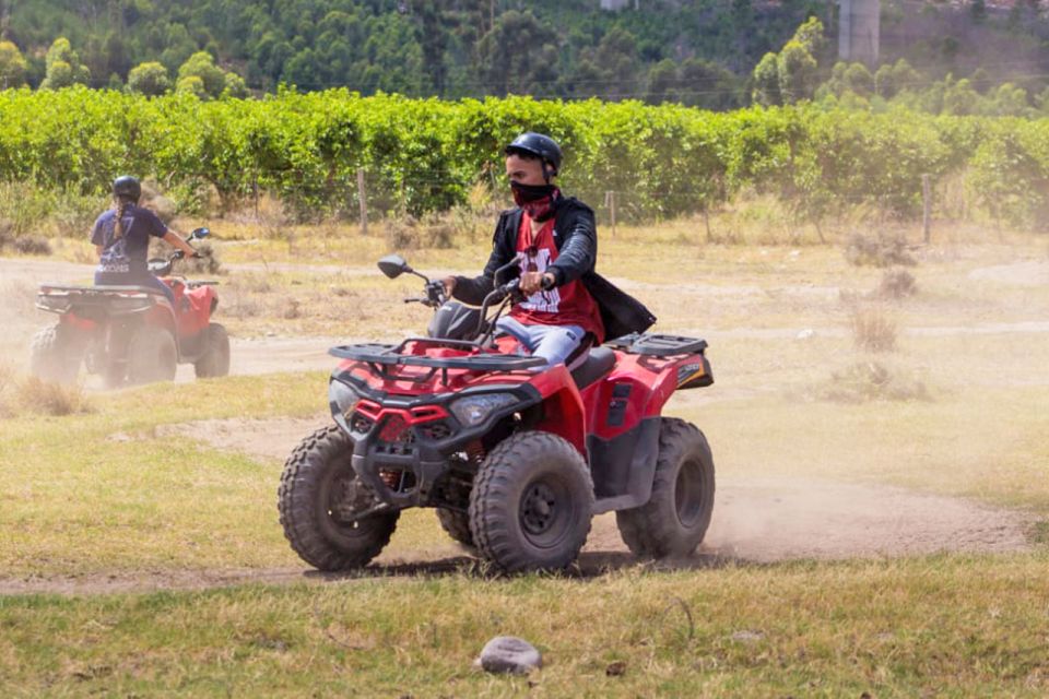 CAPE TOWN: QUAD BIKE FUN RIDE IN PAARL, FREEDOM FARM 301 - Good To Know