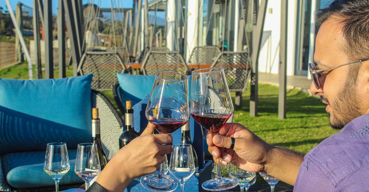 Cape Town: Stellenbosch and Franschhoek Wine Tasting Tour - Tour Overview and Pricing