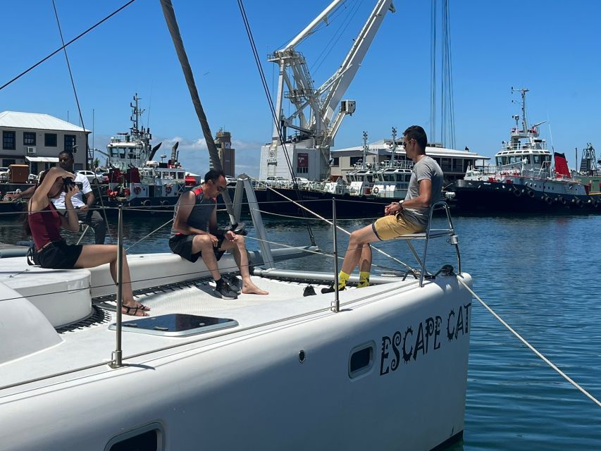 Cape Town: Table Bay Cruise by Catamaran - Good To Know