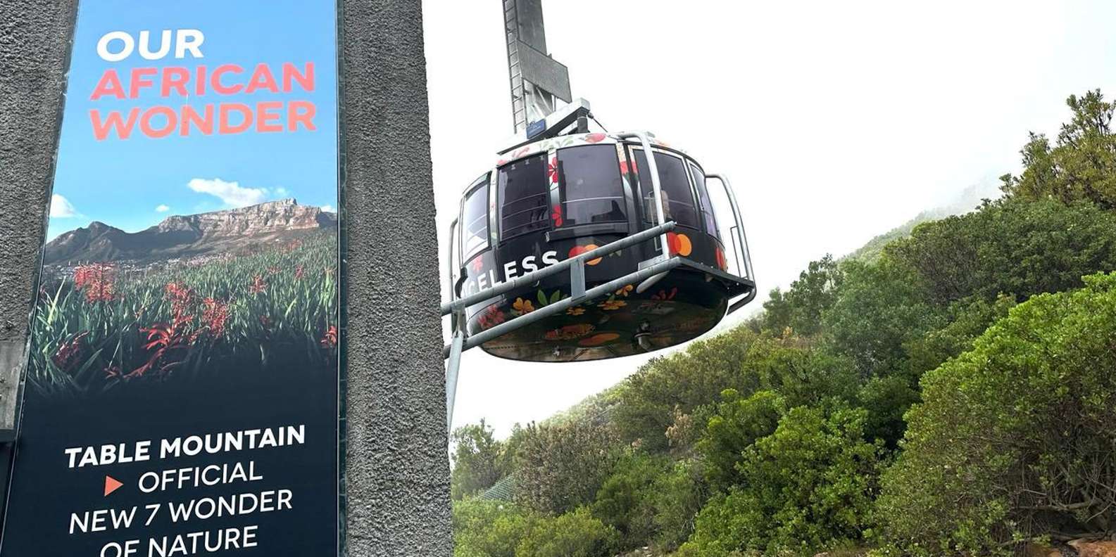 Cape Town: Table Mountain Boulders Beach and Cape Point - Good To Know