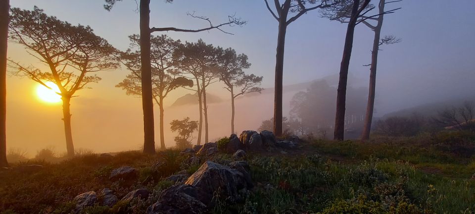 Cape Town: Trail Run Lions Head and Signal Hill Morning - Activity Overview