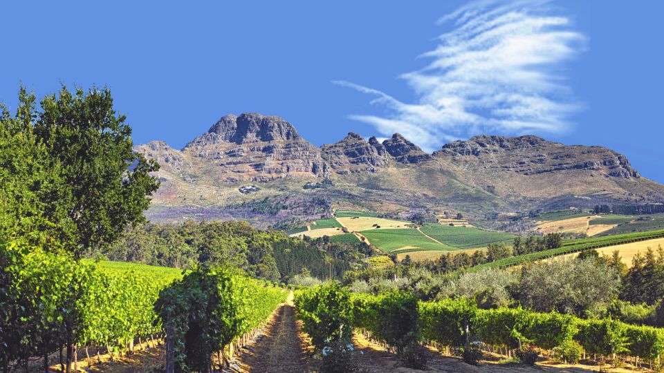 Cape Town Wine Tour (Paarl, Stellenbosch & Franschhoek) - Good To Know