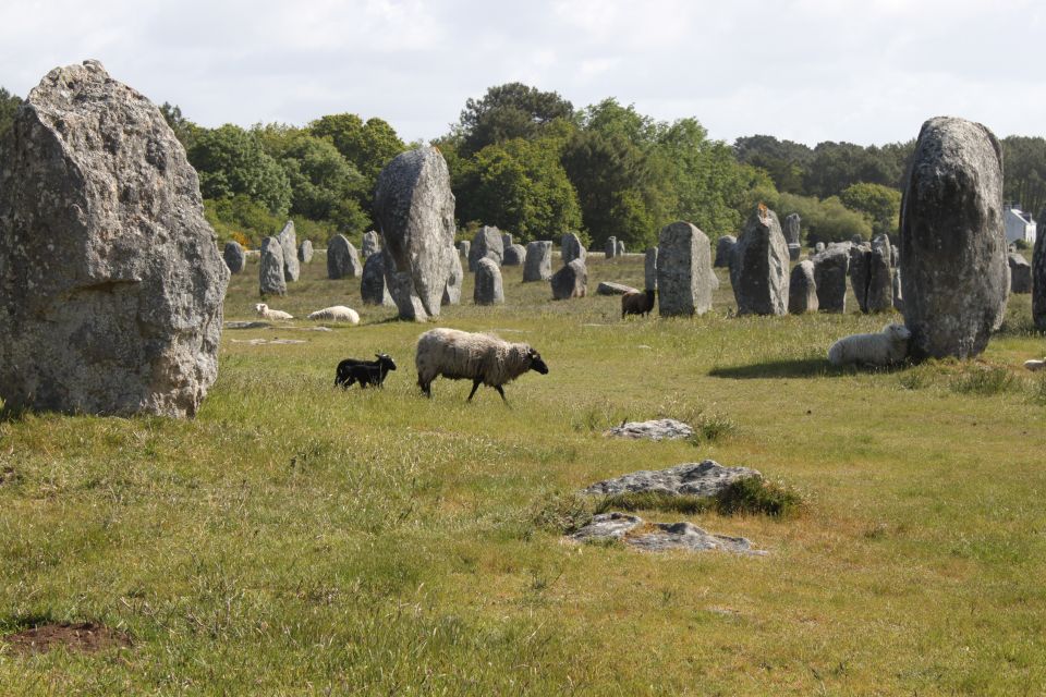 Carnac: Carnac Stones 40-Minute Audio-Guided Bus Tour - Key Points