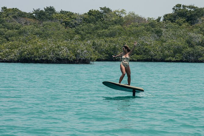Cartagena Efoil FliteBoard Experience in Fenix Beach 1H - Overview of the Cartagena Efoil FliteBoard Experience
