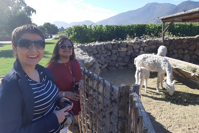 Casablanca Valley Wine Tour + Valparaiso (Small Group Tour) - Highlights of the Tour