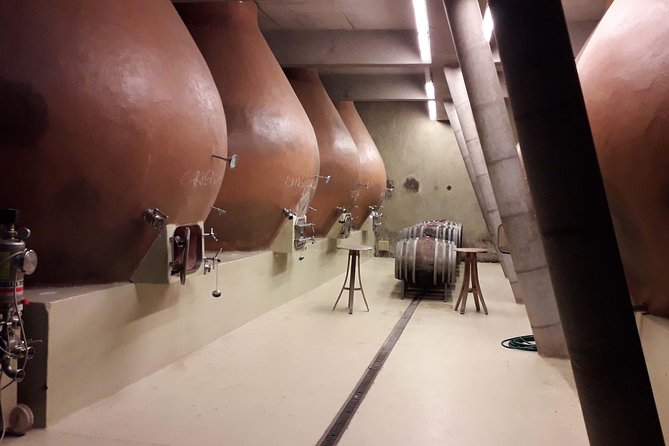Casablanca Wine Innovation Tour: Bodegas RE and Casas Del Bosque - Good To Know