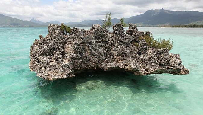 Catamaran Cruise to Ile Aux Bénitiers: Dolphin Watch, Crystal Rock & Transfer - Good To Know