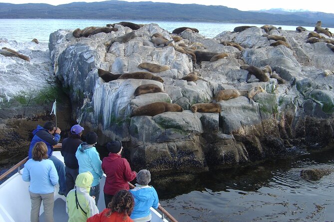 Catamaran Tour Through the Beagle Channel in Ushuaia - Tour Overview