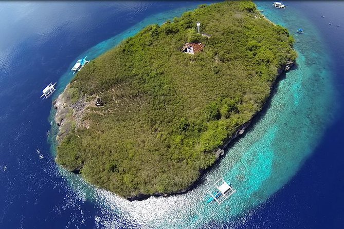 Cebu Moalboal Beach, Sardine Run, Sea Turtle Viewing + Canyoneering Tour - Tour Overview