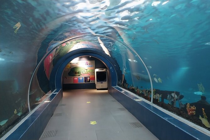 Cebu Ocean Park - Good To Know