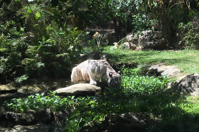Cebu Safari and Adventure Park - Good To Know