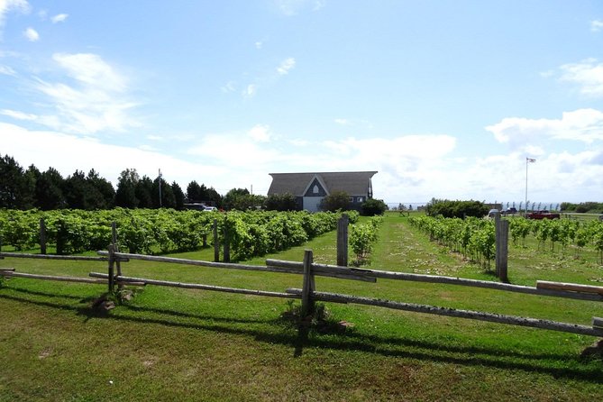 Central PEI Winery, Apiary and Mead Tasting Tour - Good To Know
