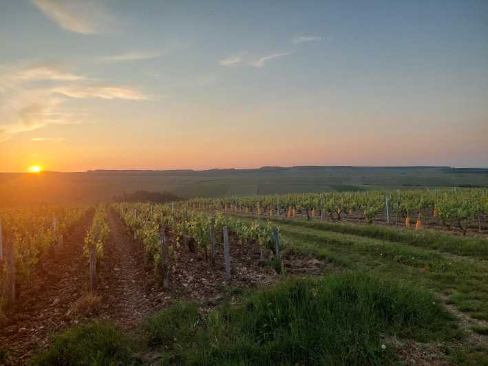 CHABLIS PRIVATE HALF DAY WINE TOUR - Key Points