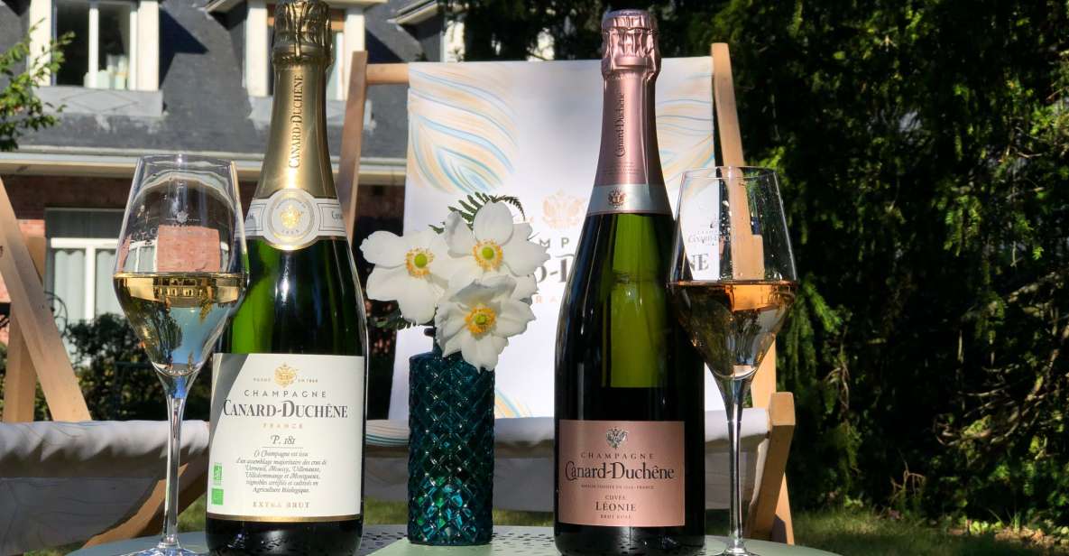 Champagne: Organic Champagne Tasting - Key Points