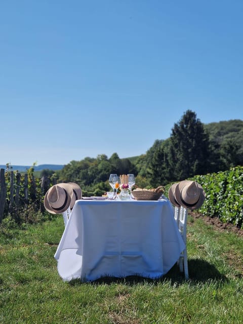 Champagne Vineyards Picnic - Key Points