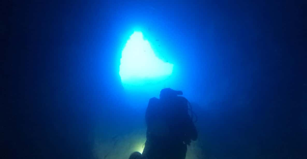 Chania: 2 Boat Dives for Certified Divers - Good To Know