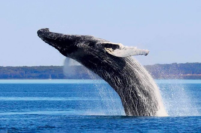 Charlevoix, Canyon St-Anne and Whale Watching 2 Days Tour - Good To Know